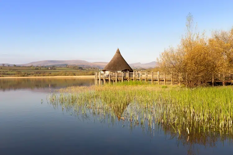 Llangorse Lake & Hill Fort: A Scenic Circular Walk gallery 4