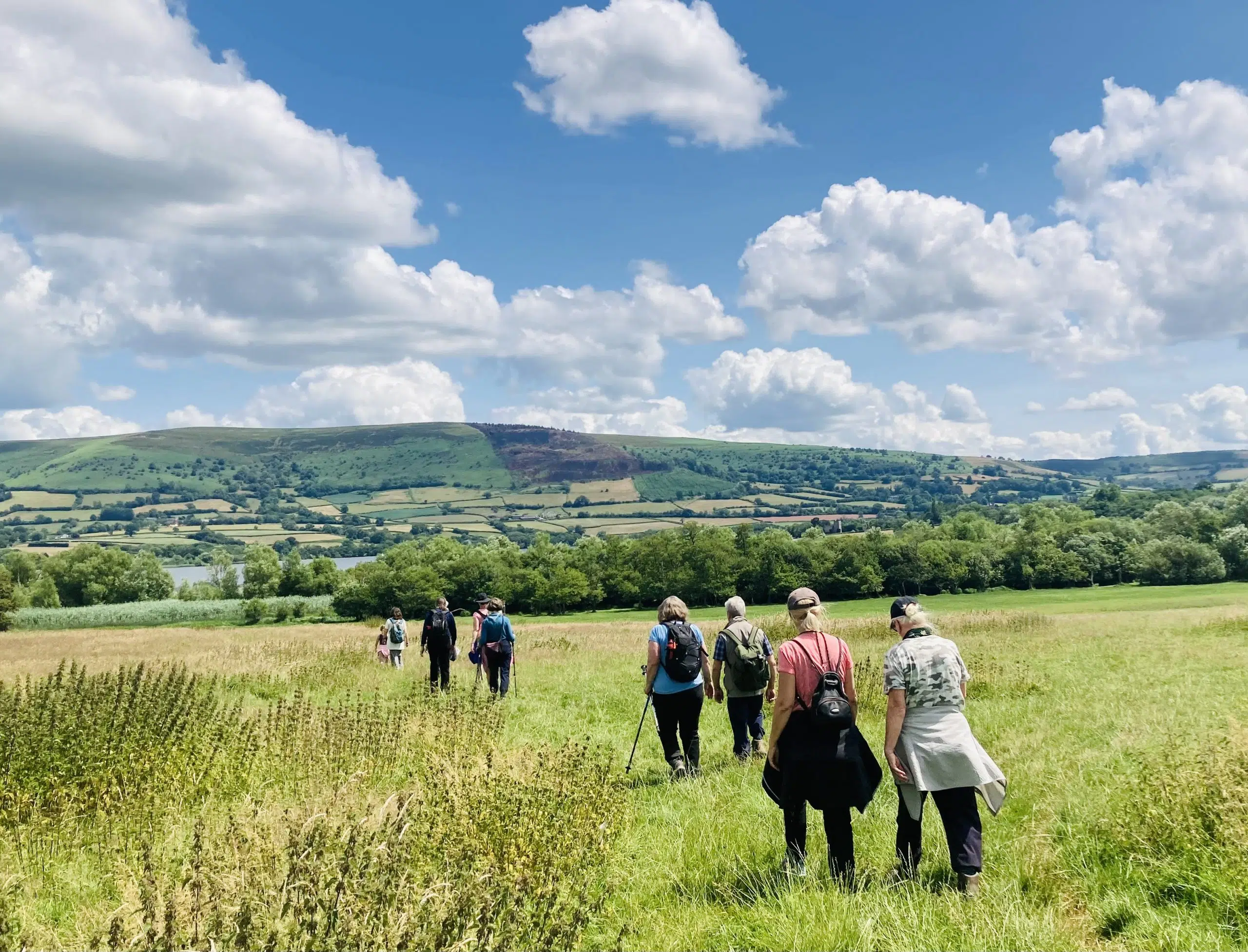 Llangorse Lake & Hill Fort: A Scenic Circular Walk gallery 5