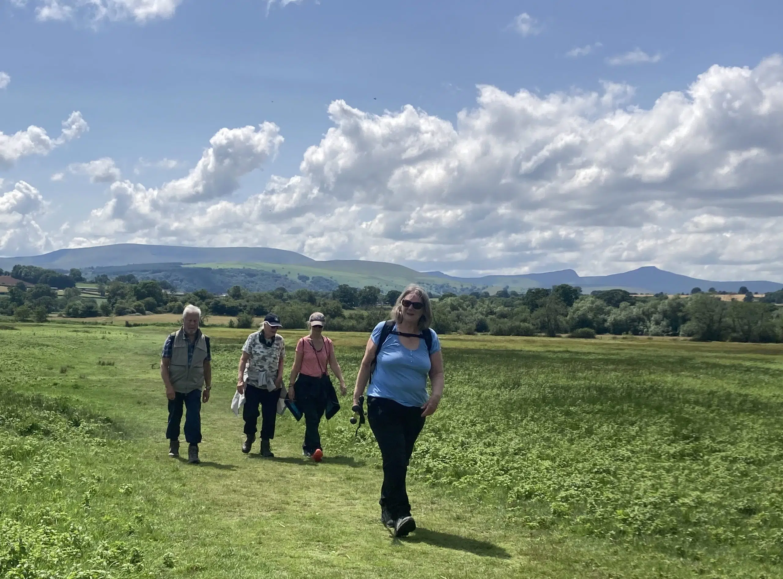 Llangorse Lake & Hill Fort: A Scenic Circular Walk gallery 6