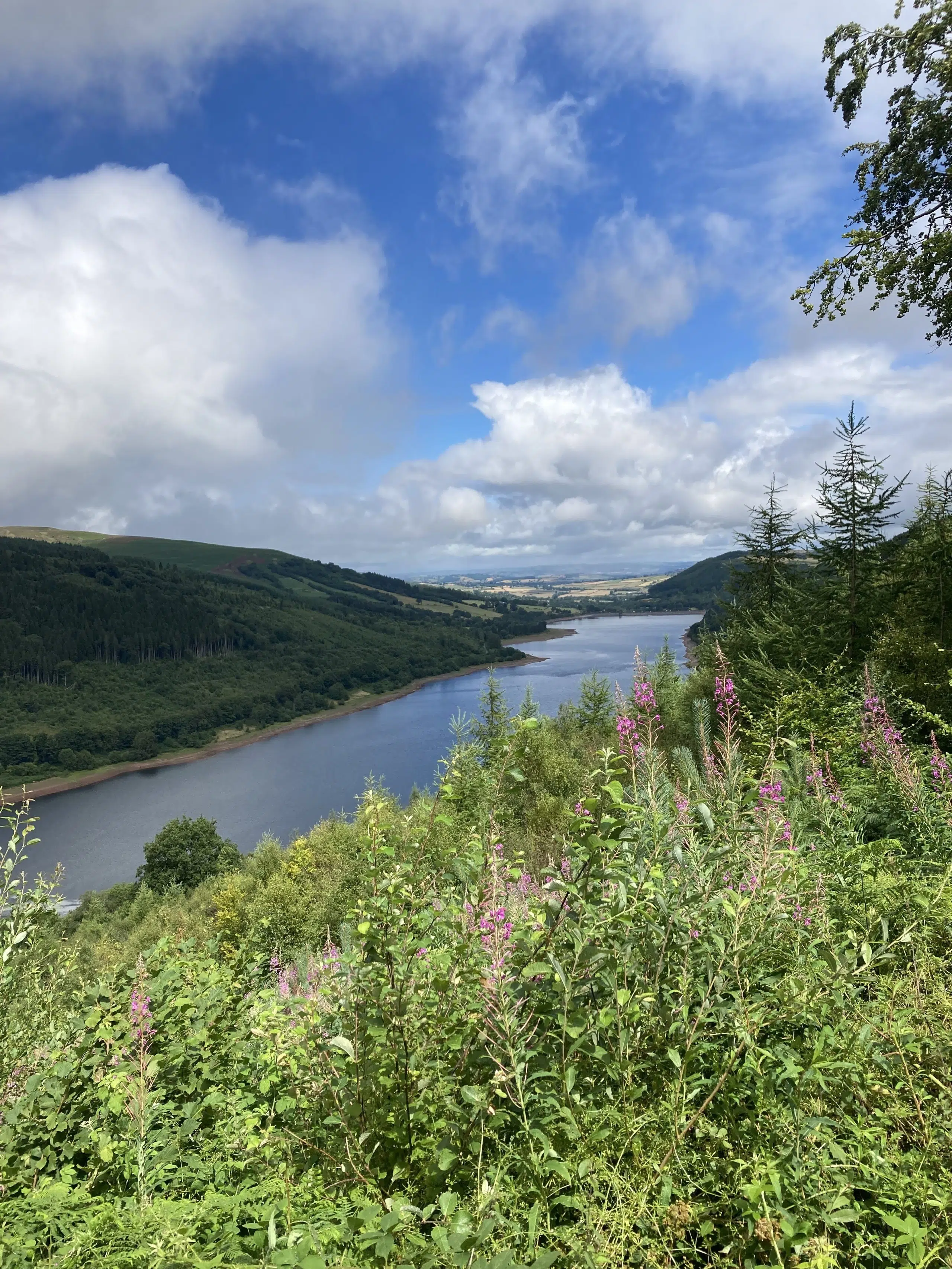 Brecon Beacons Reservoir and Ridge Walk: A Circular Adventure from Talybont-on-Usk, photo 5