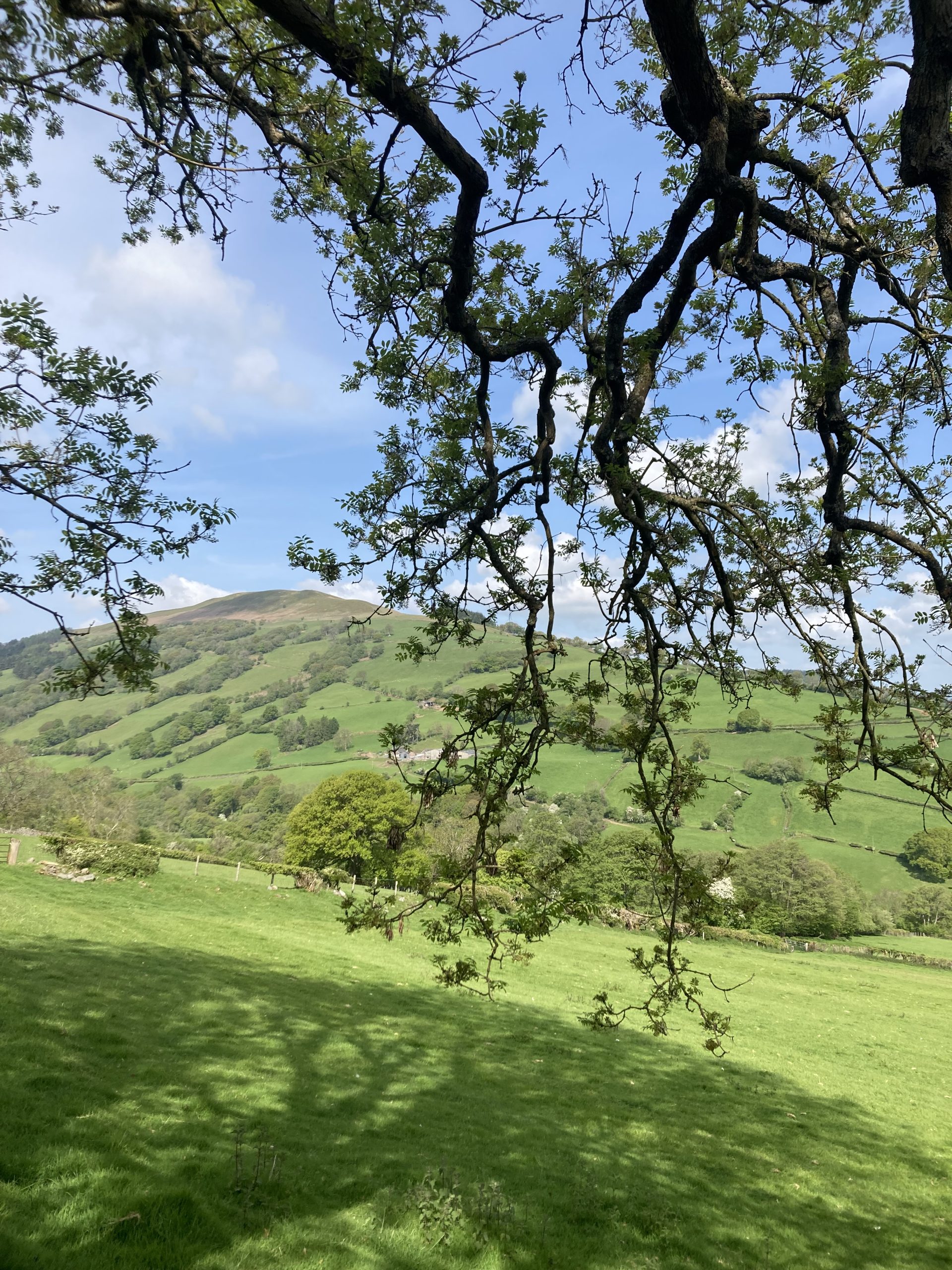 Brecon Beacons Reservoir and Ridge Walk: A Circular Adventure from Talybont-on-Usk gallery 3