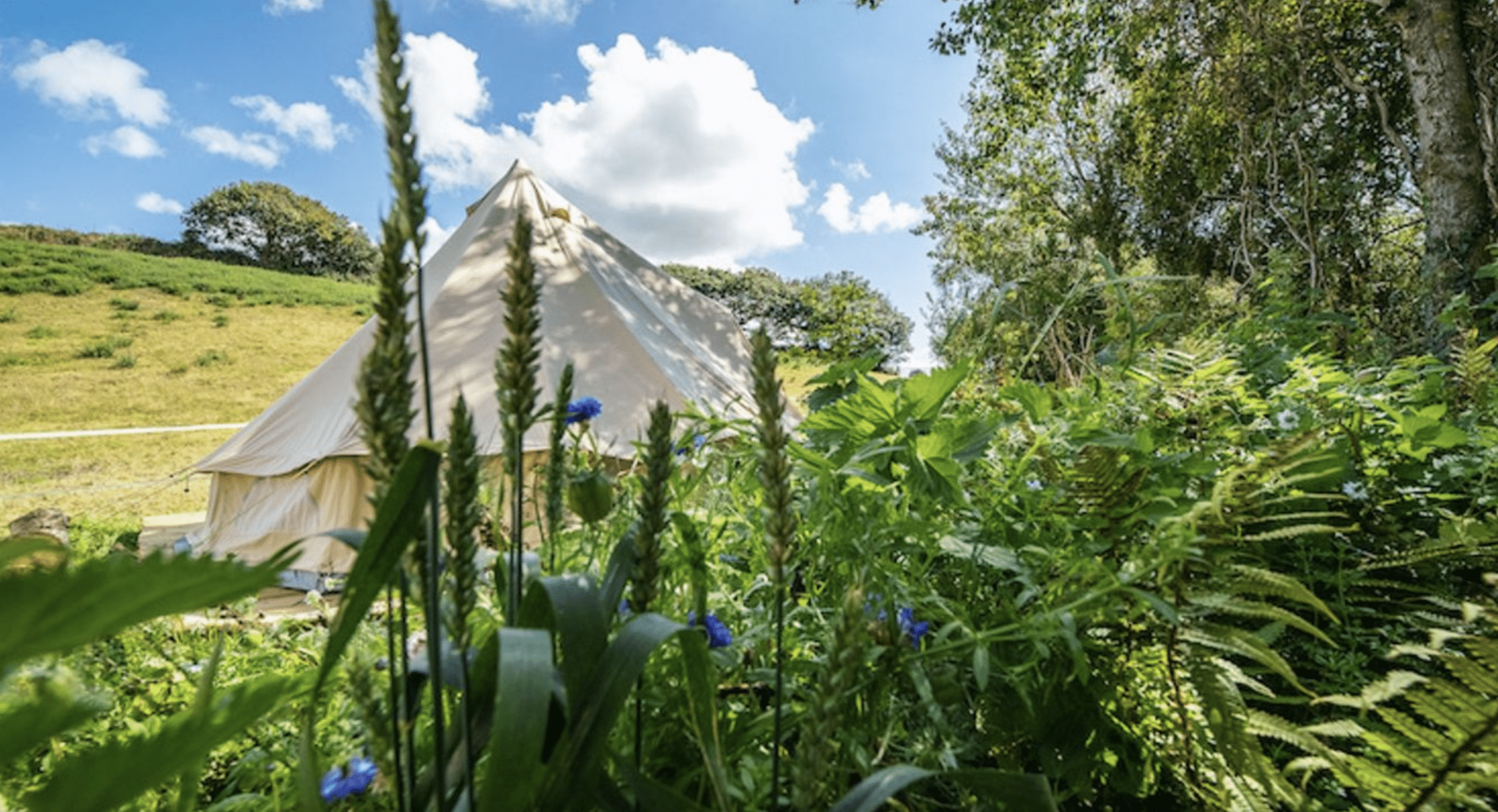 4 Night Surf Camp in Cornwall gallery 2