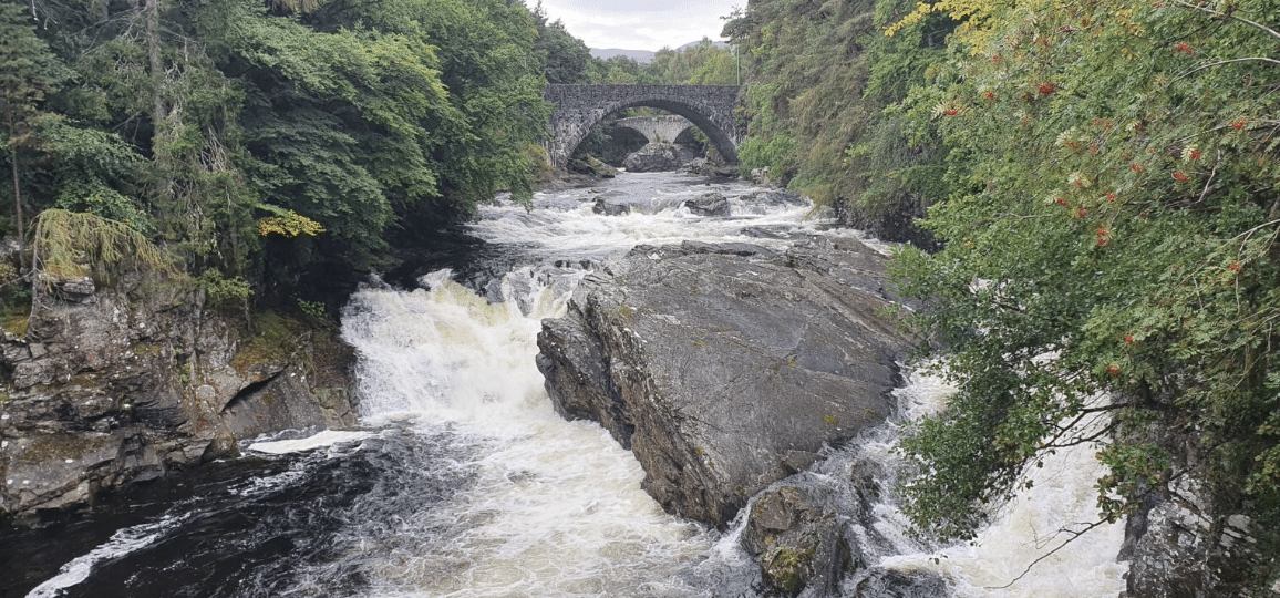 Adult White Water Weekend Kayak Progression Program gallery 6
