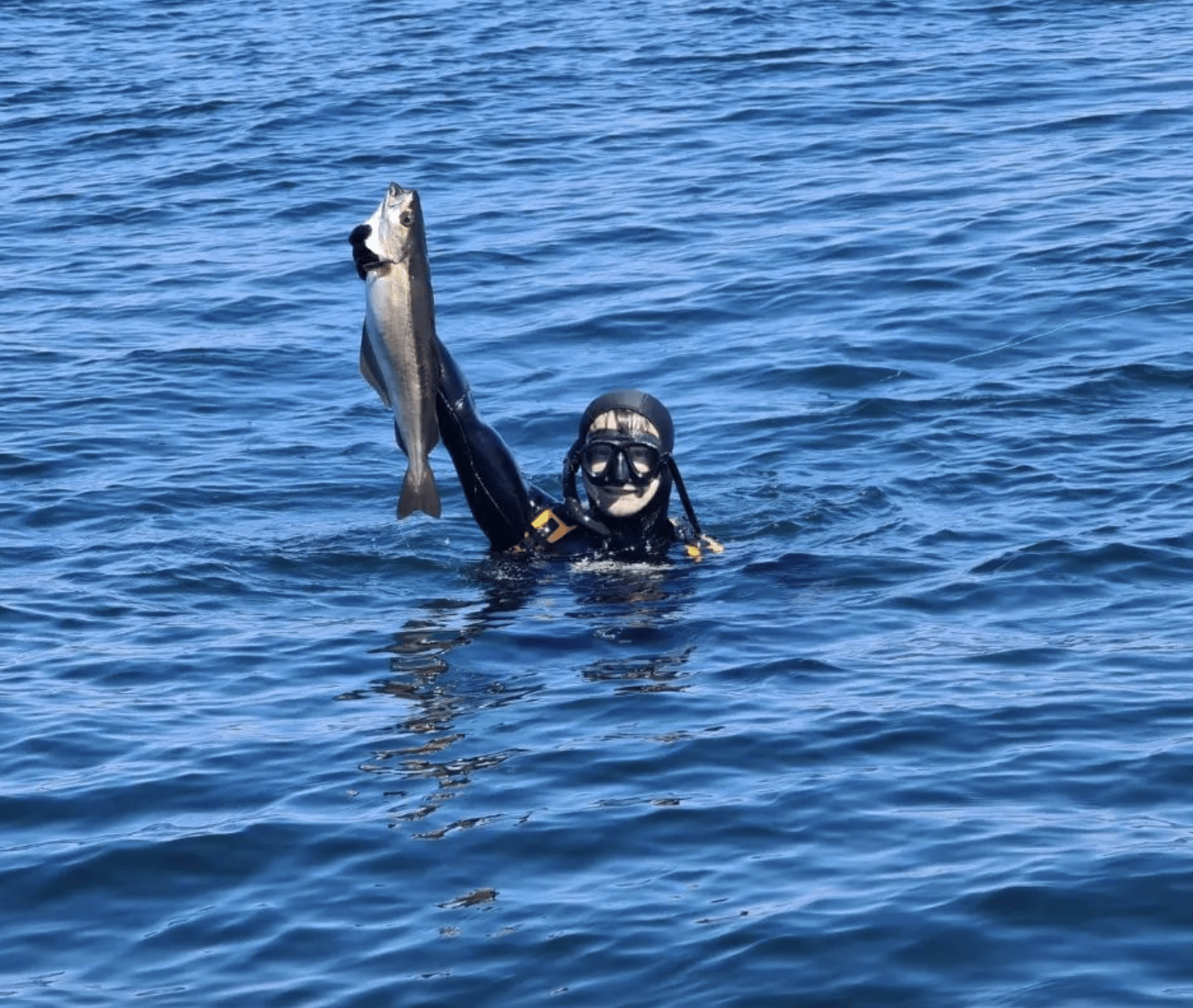 Spearfishing Course in Plymouth - Spear Fisher Level 1 gallery 2