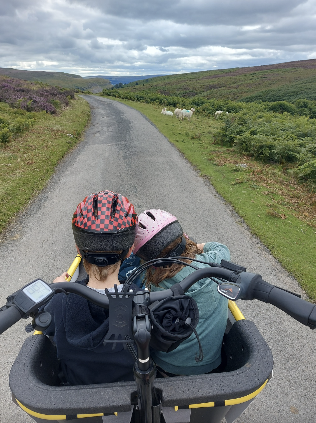 Bike and E-Bike Hire in Llangollen, North Wales gallery 8