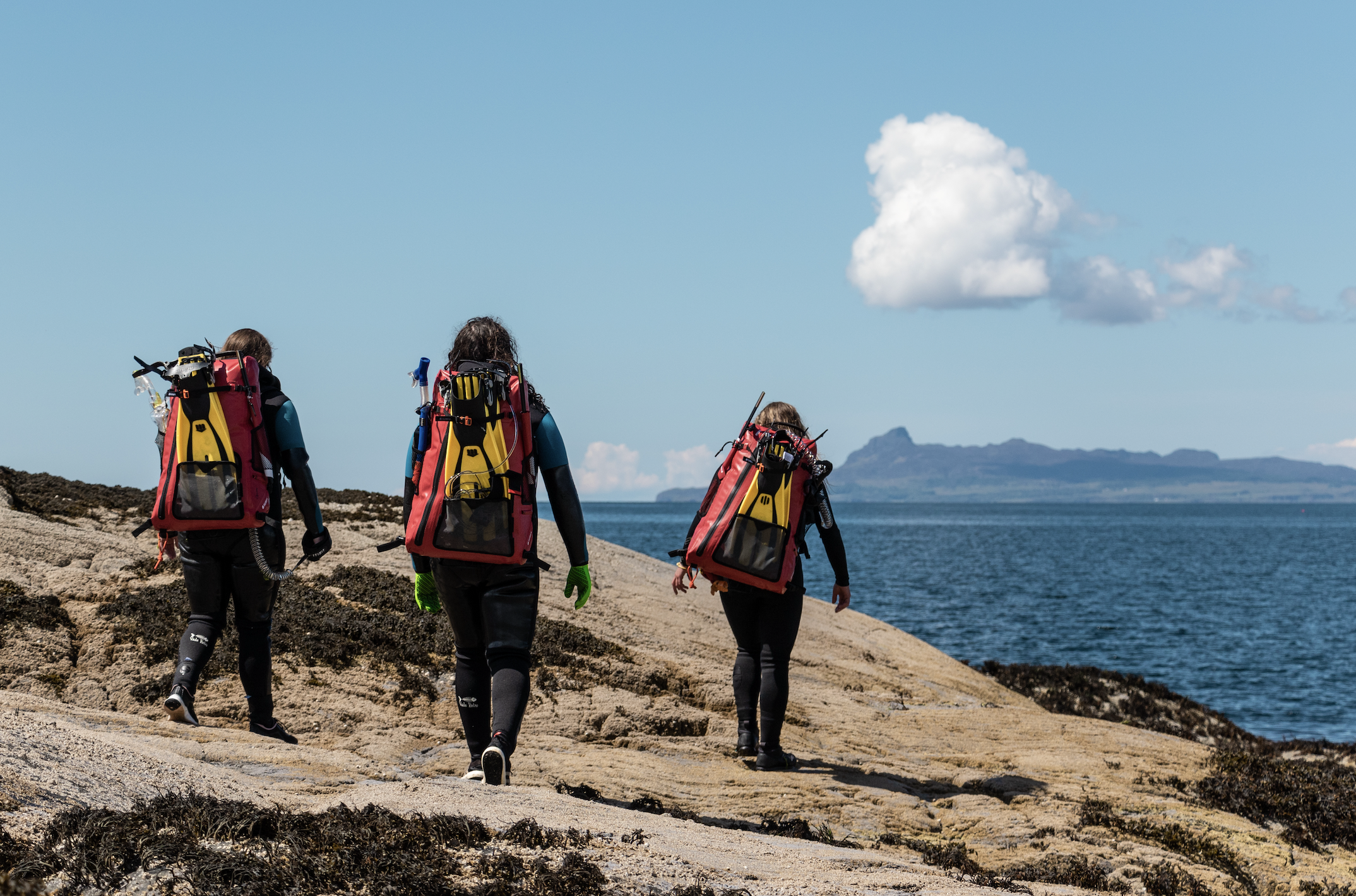 Seatrekking Day Trip – Snorkel, Swim & Scramble, photo 2
