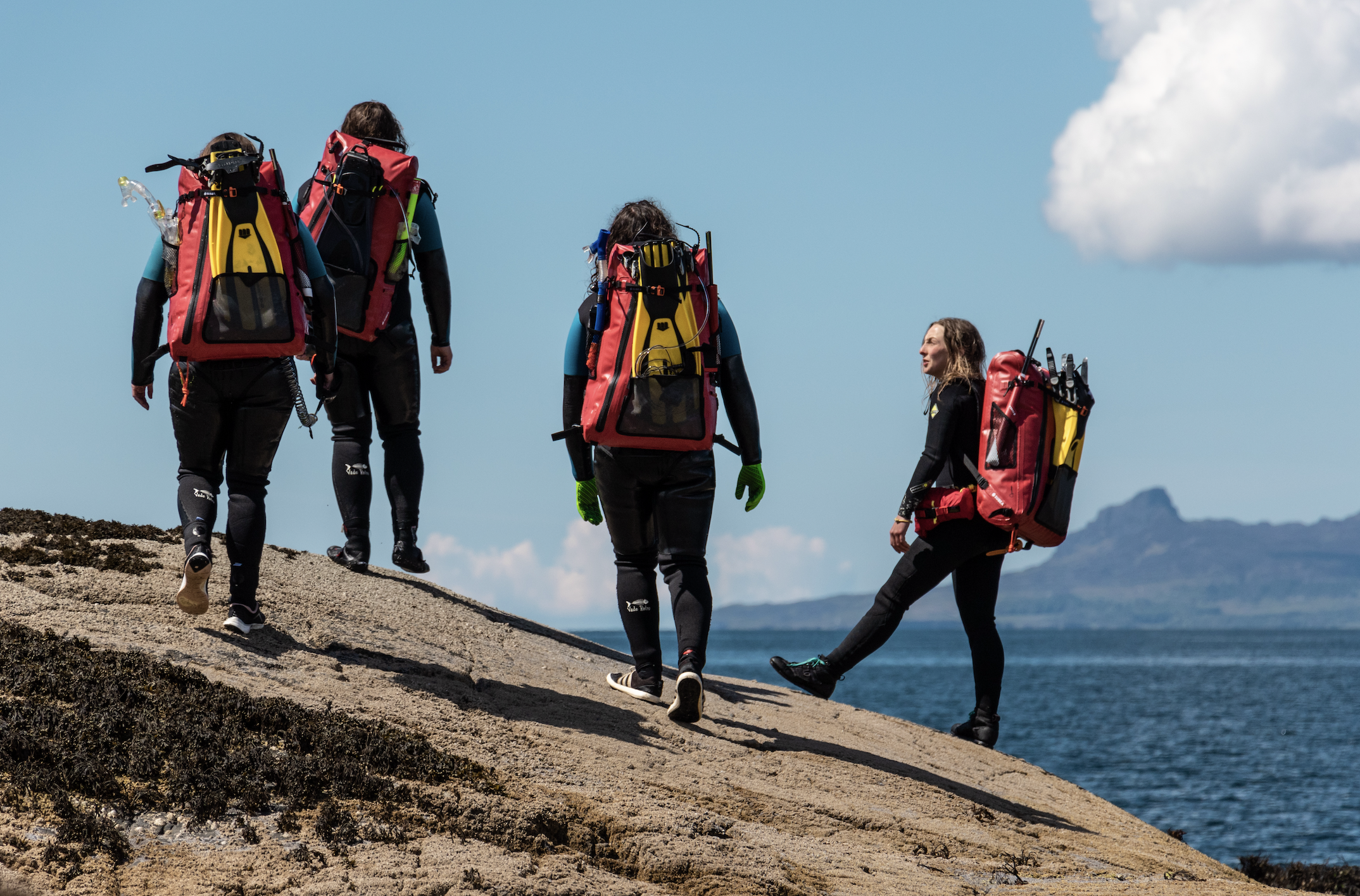 Seatrekking Day Trip – Snorkel, Swim & Scramble gallery 7