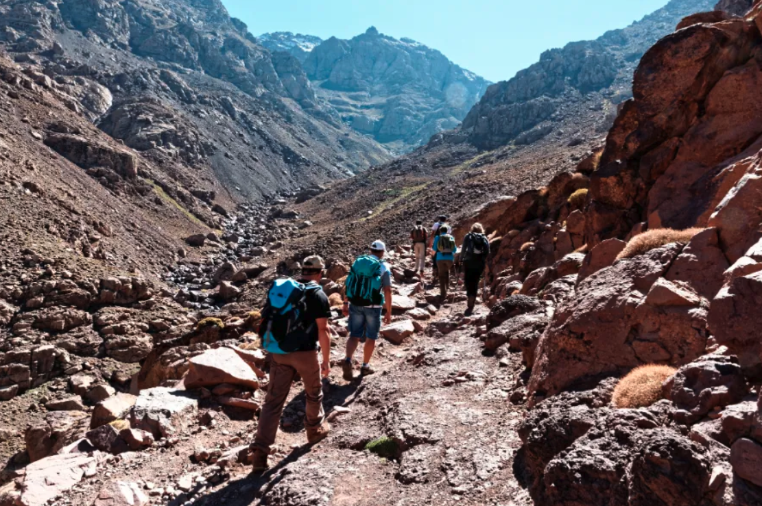 4-Day Hiking through Berber Lands and Peaks, listing photo