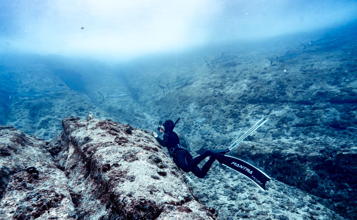 Online Freediving Consultation Session, photo 2