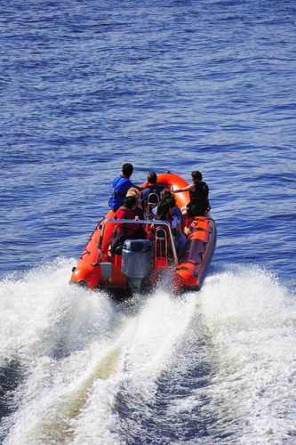 RYA Safety Boat Course in Brighton, photo 4