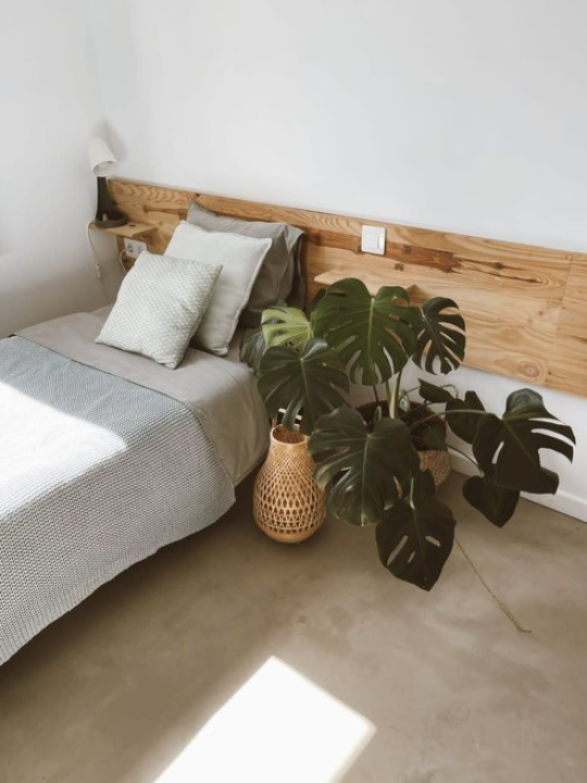 Epic 7-Day Surf Retreat in Fuerteventura gallery 9