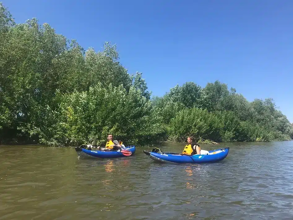 Kayaking Tour in Chester, photo 4