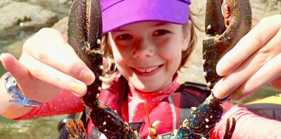 2-Day Sea Kayak Camp for Young Families in Devon, photo 4