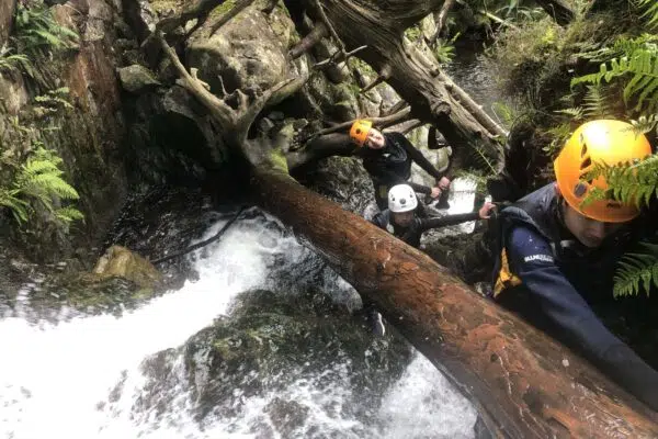 Ghyll Scrambling and Canyoning in the Lake District, photo 2