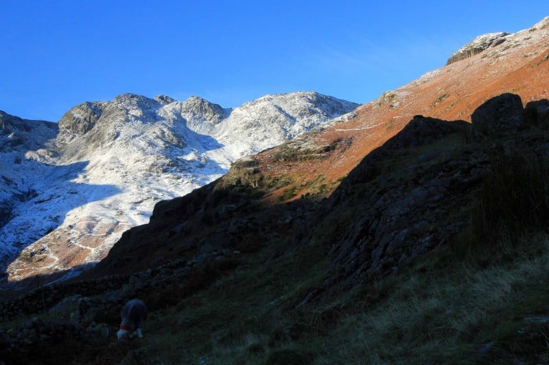 7-8 Hour Challenging Mountain Walks in the Lake District gallery 2