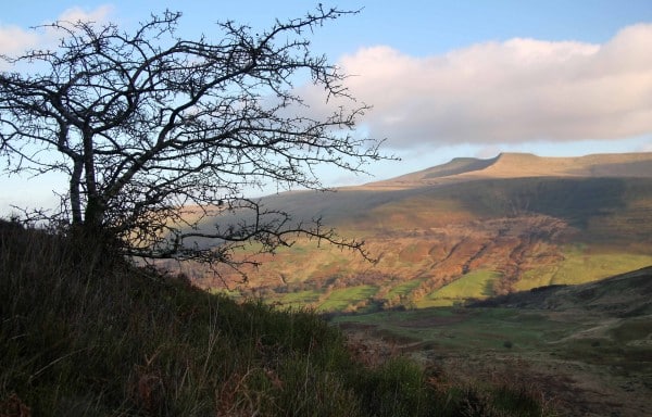 7-8 Hour Guided Mountain Photography Walk in the Lake District, photo 3