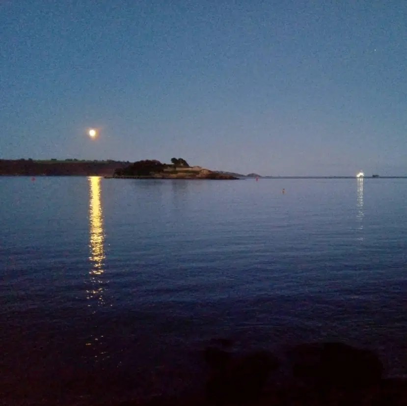 1.5-Hour Full Moon SUP at Royal William Yard, photo 2