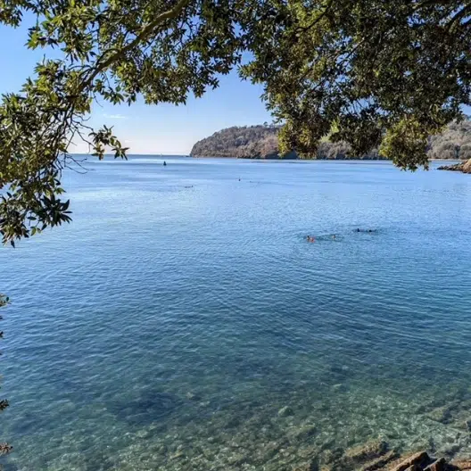 1.5-Hour SUP Experience from Plymouth gallery 2