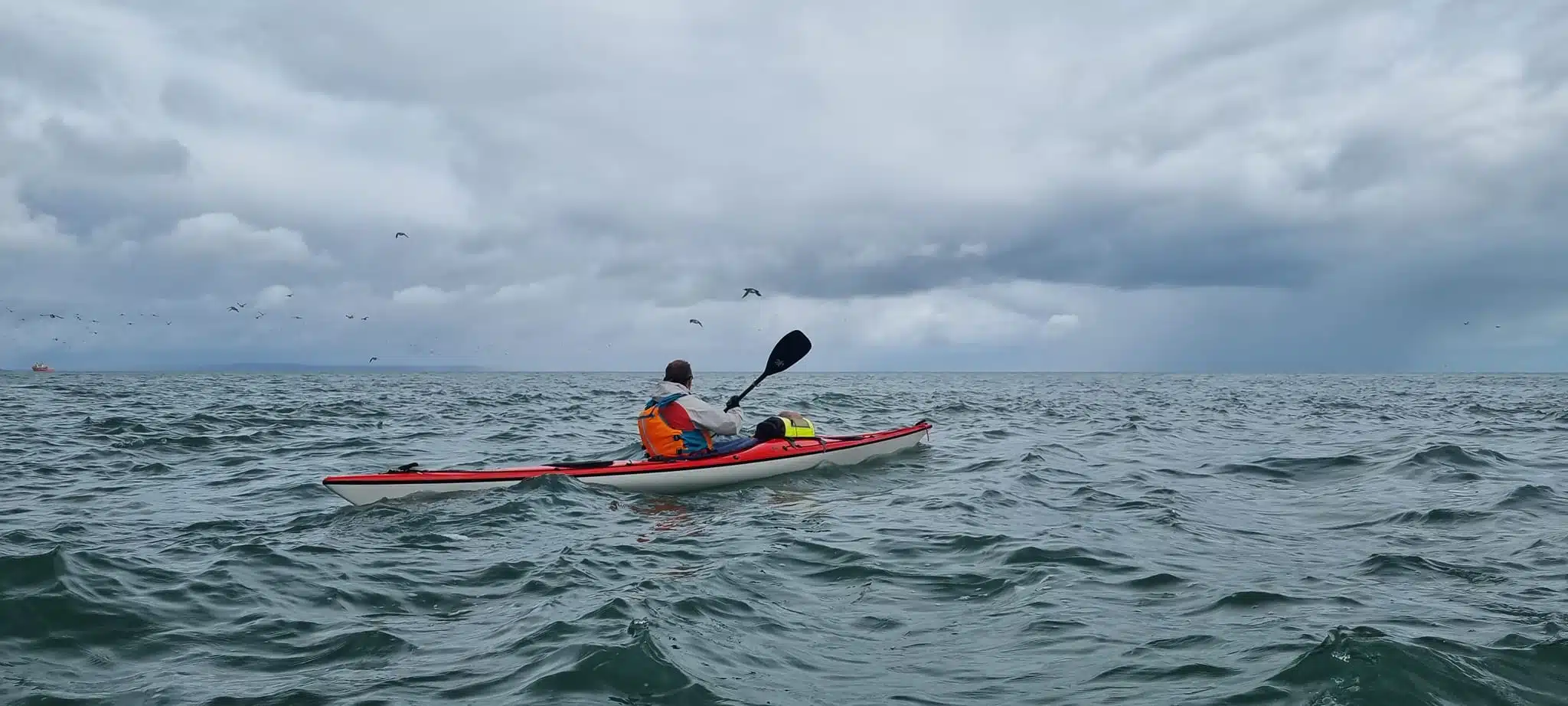 Intermediate Sea Kayaking Course in Torquay, listing photo
