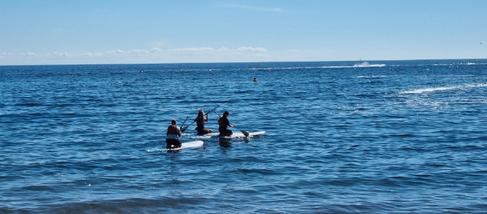 Paddleboard (SUP) Hire from Oddicombe Beach gallery 3