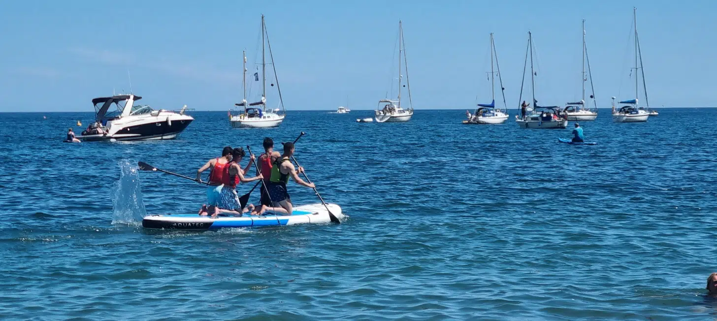 Giant SUP Hire in Babbacombe, Torquay, photo 2