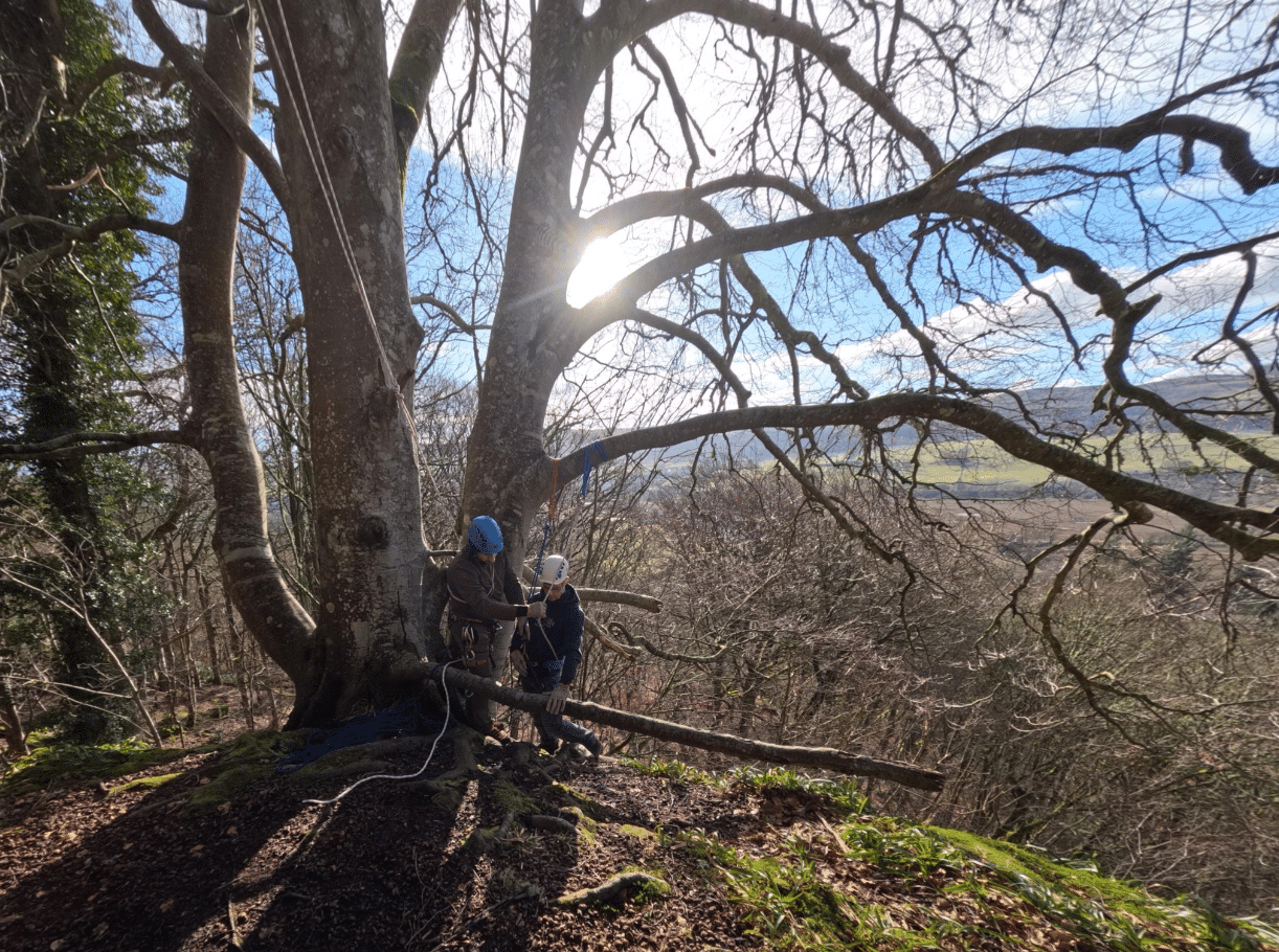 Abseiling Adventure in Perthshire, photo 4
