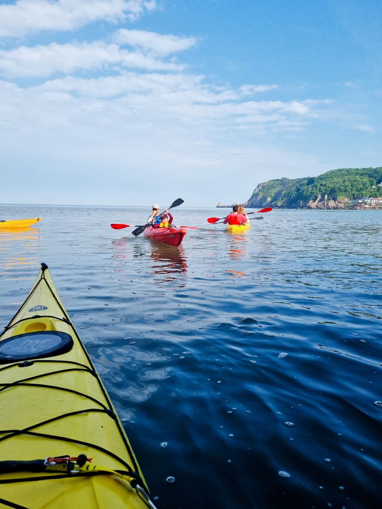 Guided Wildlife and Geopark Cave Kayak Tour in Torquay, photo 4