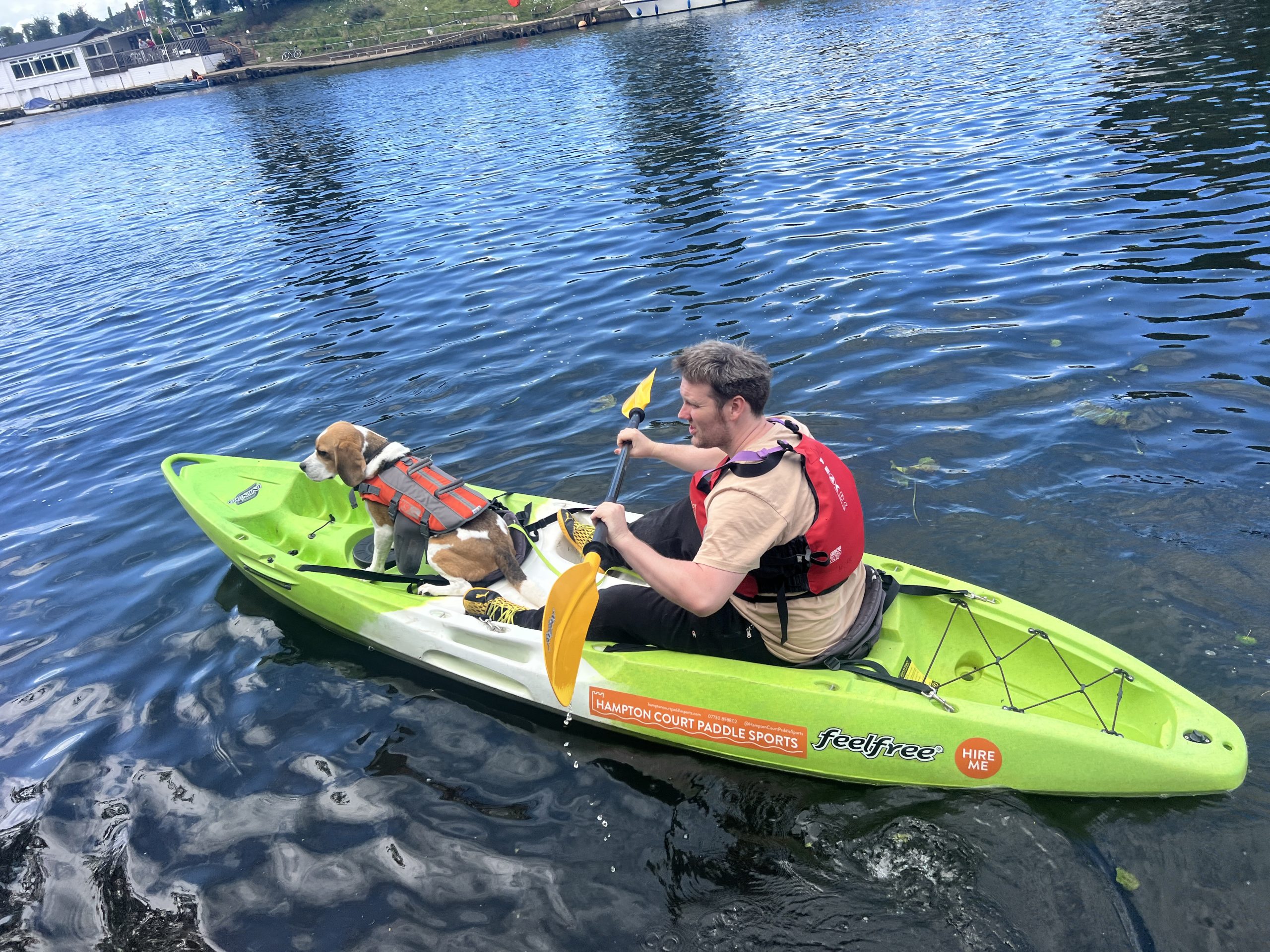 Double Sit-On-Top Kayak Hire – River Thames, Surrey, photo 5