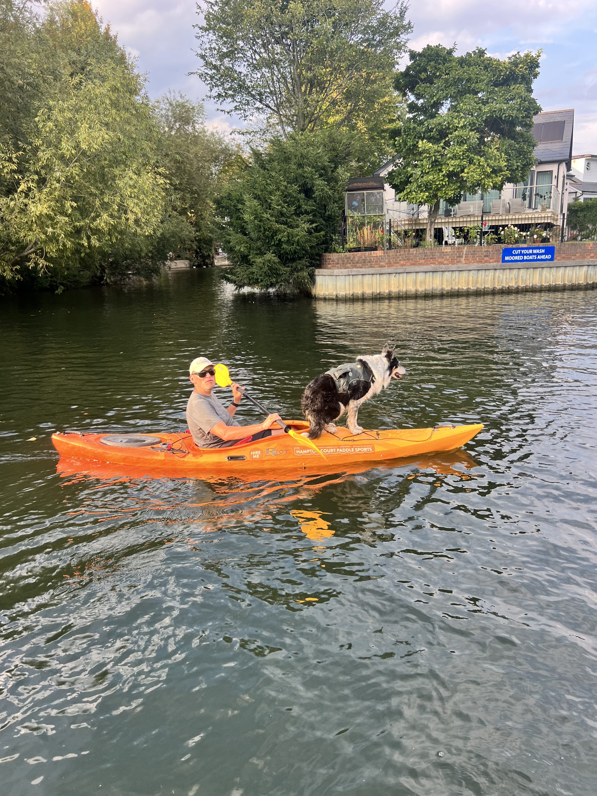 Single Touring Kayak Hire – River Thames, Surrey, photo 3