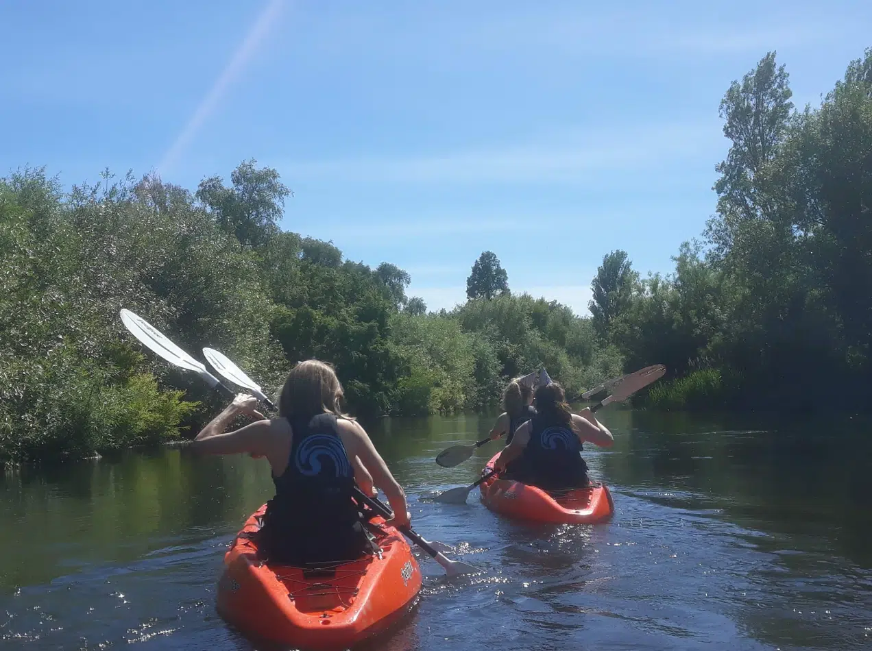 The Christchurch Loop Kayaking Tour, photo 2
