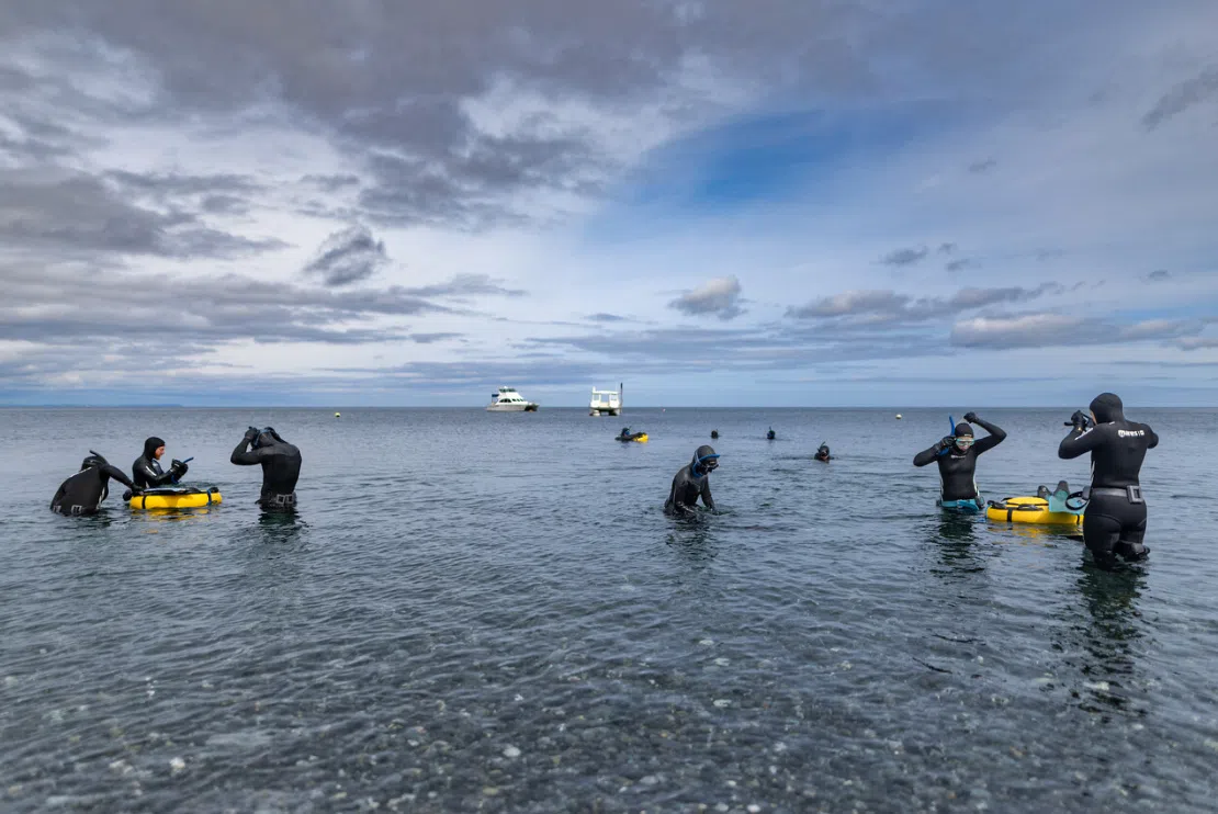 SSI Level 1 Freediver Course - Porthkerris Cove, Cornwall gallery 2
