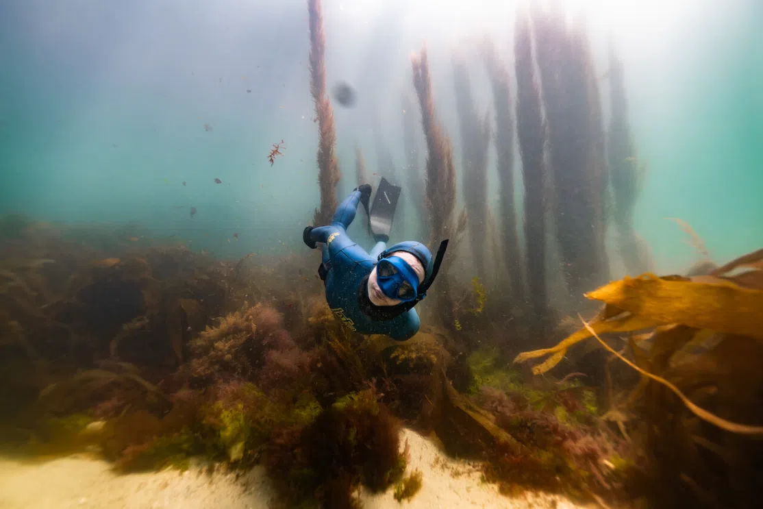SSI Level 1 Freediver Course - Porthkerris Cove, Cornwall gallery 3