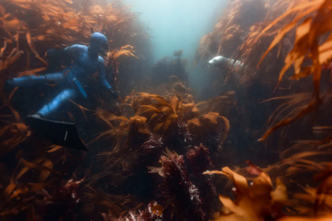 SSI Level 1 Freediver Course - Porthkerris Cove, Cornwall gallery 4