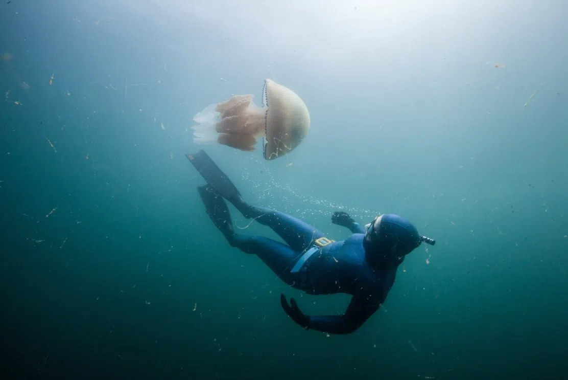 Try Dive - Introductory Freediving Course at Porthkerris Cove, photo 5