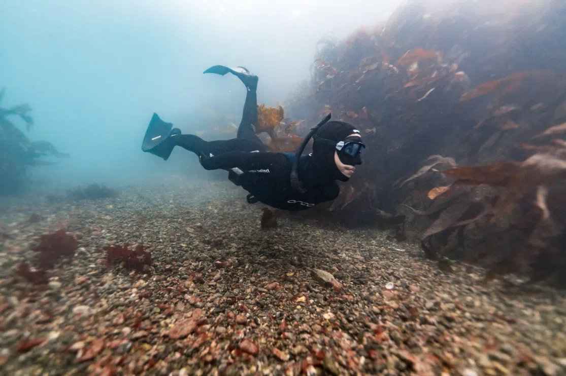 SSI Level 1 Freediver Course - Porthkerris Cove, Cornwall, photo 4