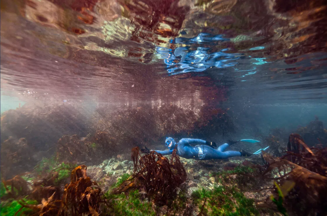 Try Dive - Introductory Freediving Course at Porthkerris Cove gallery 3