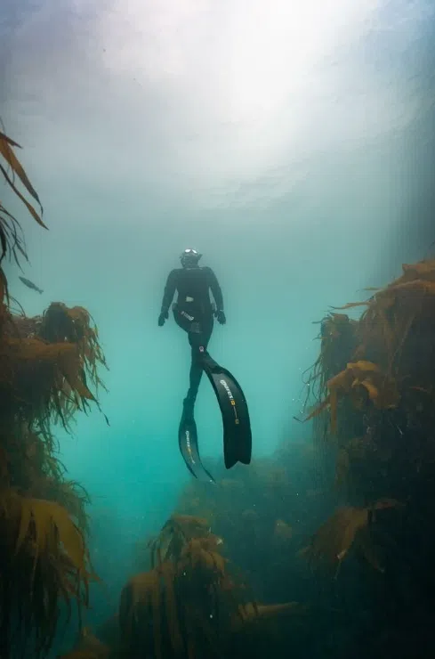 Try Dive - Introductory Freediving Course at Porthkerris Cove gallery 6