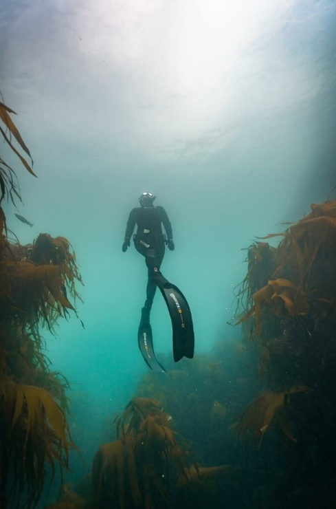 SSI Level 1 Freediver Course - Porthkerris Cove, Cornwall gallery 6