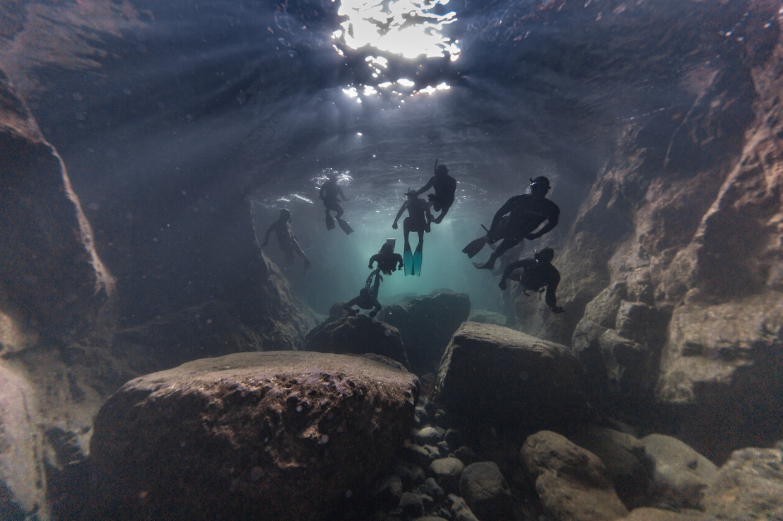 SSI Level 1 Freediver Course - Porthkerris Cove, Cornwall gallery 7