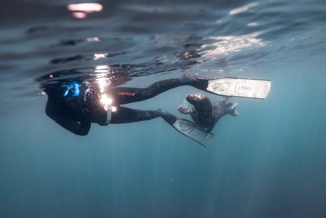 Try Dive - Introductory Freediving Course at Porthkerris Cove gallery 8