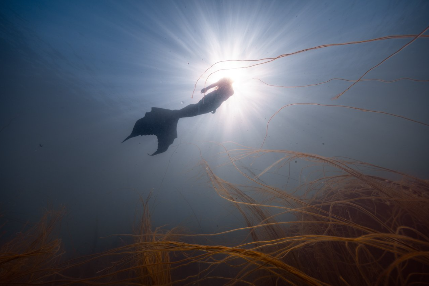 SSI Mermaid & Ocean Mermaid Combined Course at Porthkerris Cove gallery 2