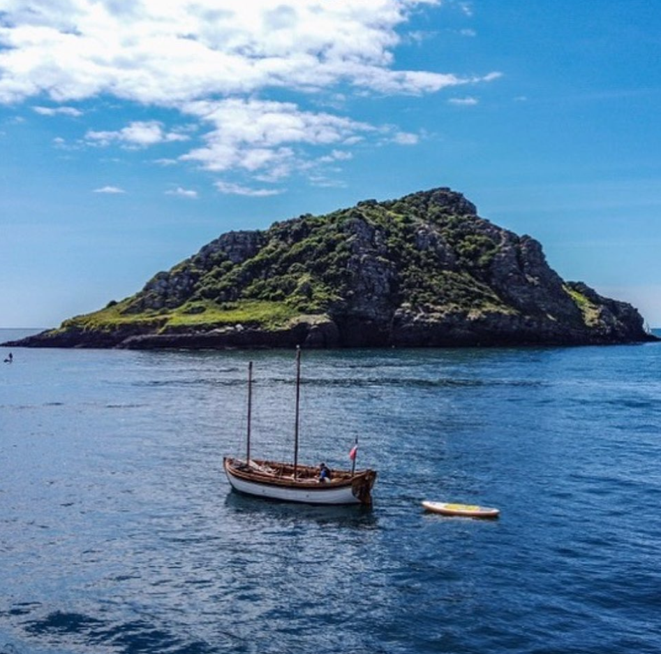 Sail and Swim Adventure in Plymouth Sound, photo 3