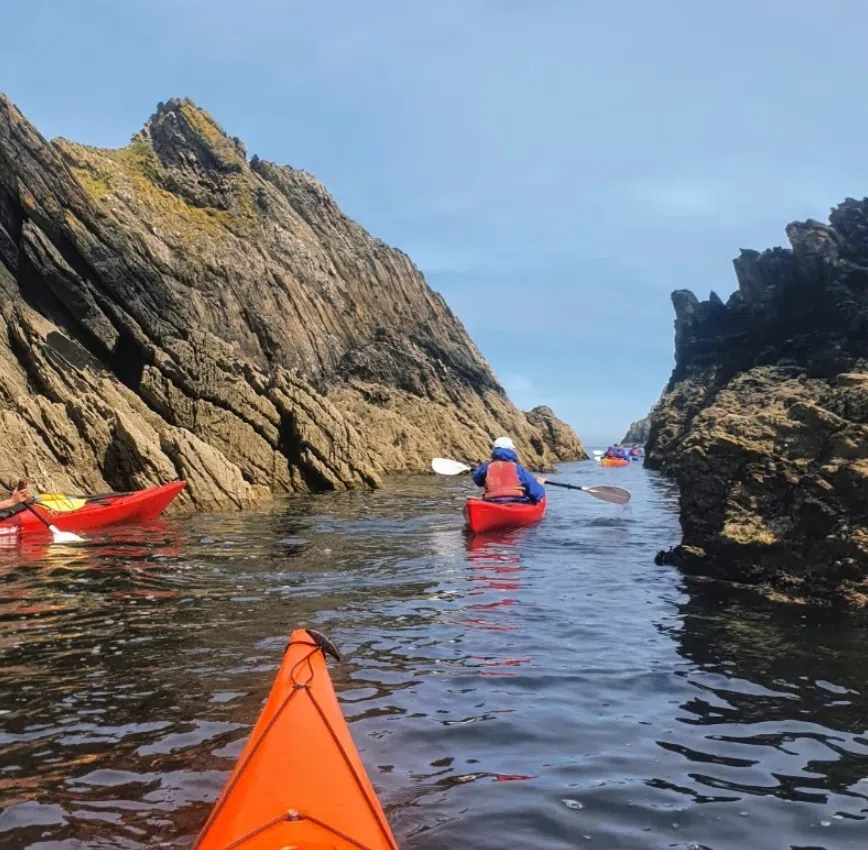 Bespoke Guided Sea Kayaking Trip (Full Day) in Devon, listing photo
