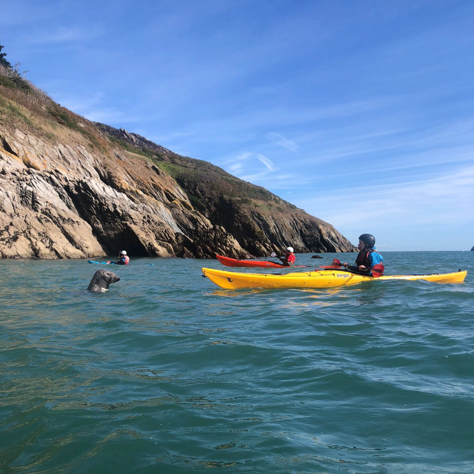 Bespoke Guided Sea Kayaking Trip (Full Day) in Devon gallery 7