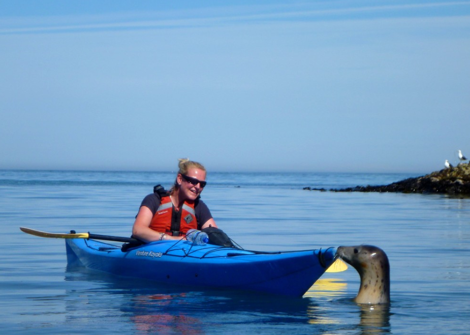 Women’s Coastal Discovery – Full Day Sea Kayaking in Devon, listing photo