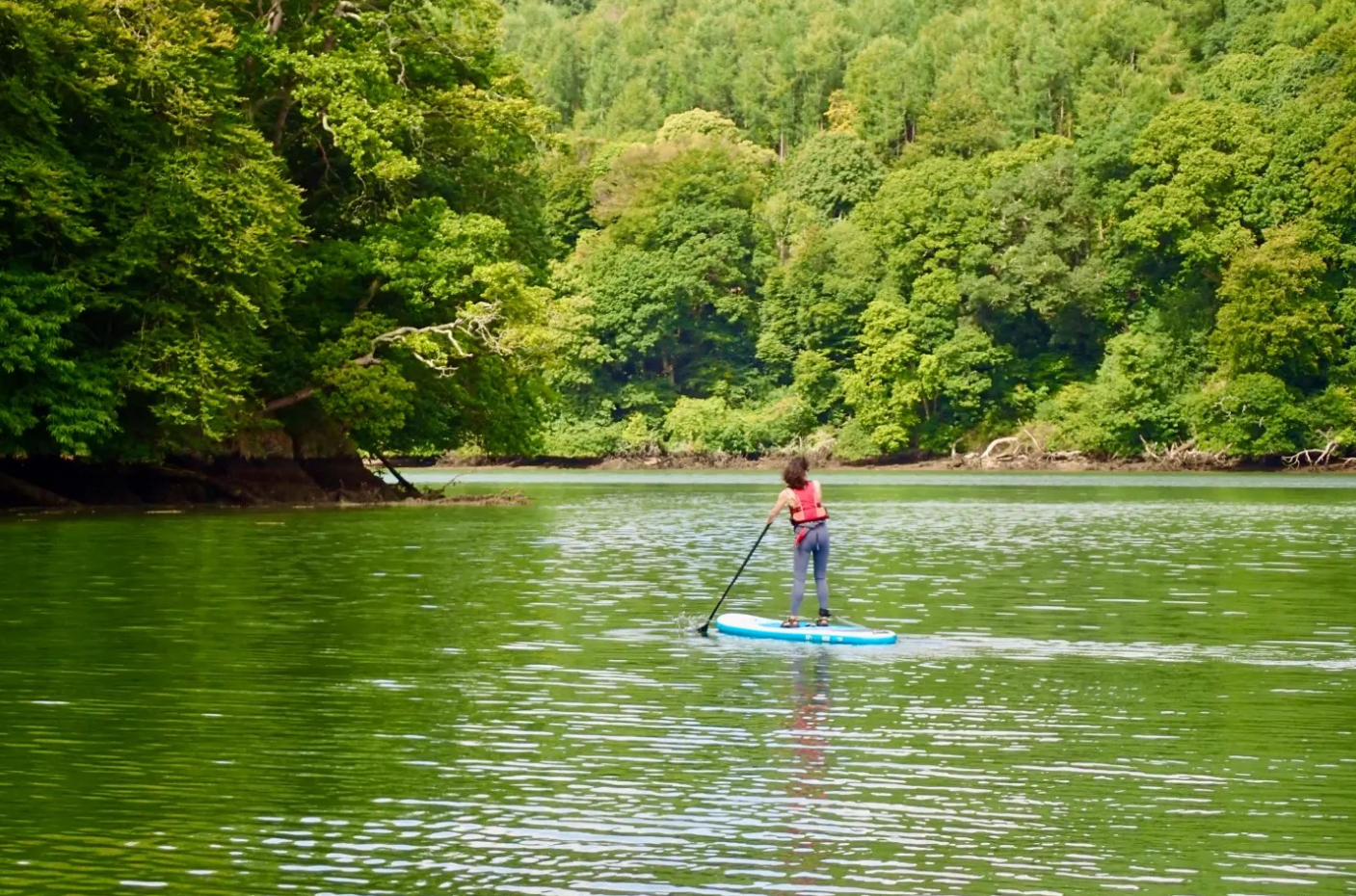 SUP Sheltered Water Training & Assessment in Devon, photo 2