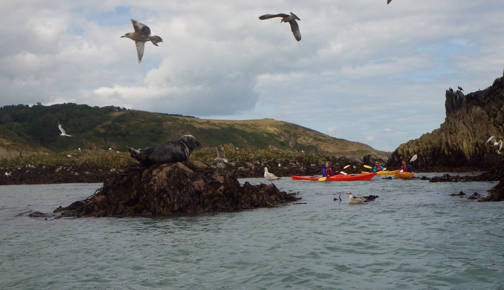 Classic Wild Camping & Kayaking Trip in Devon gallery 4