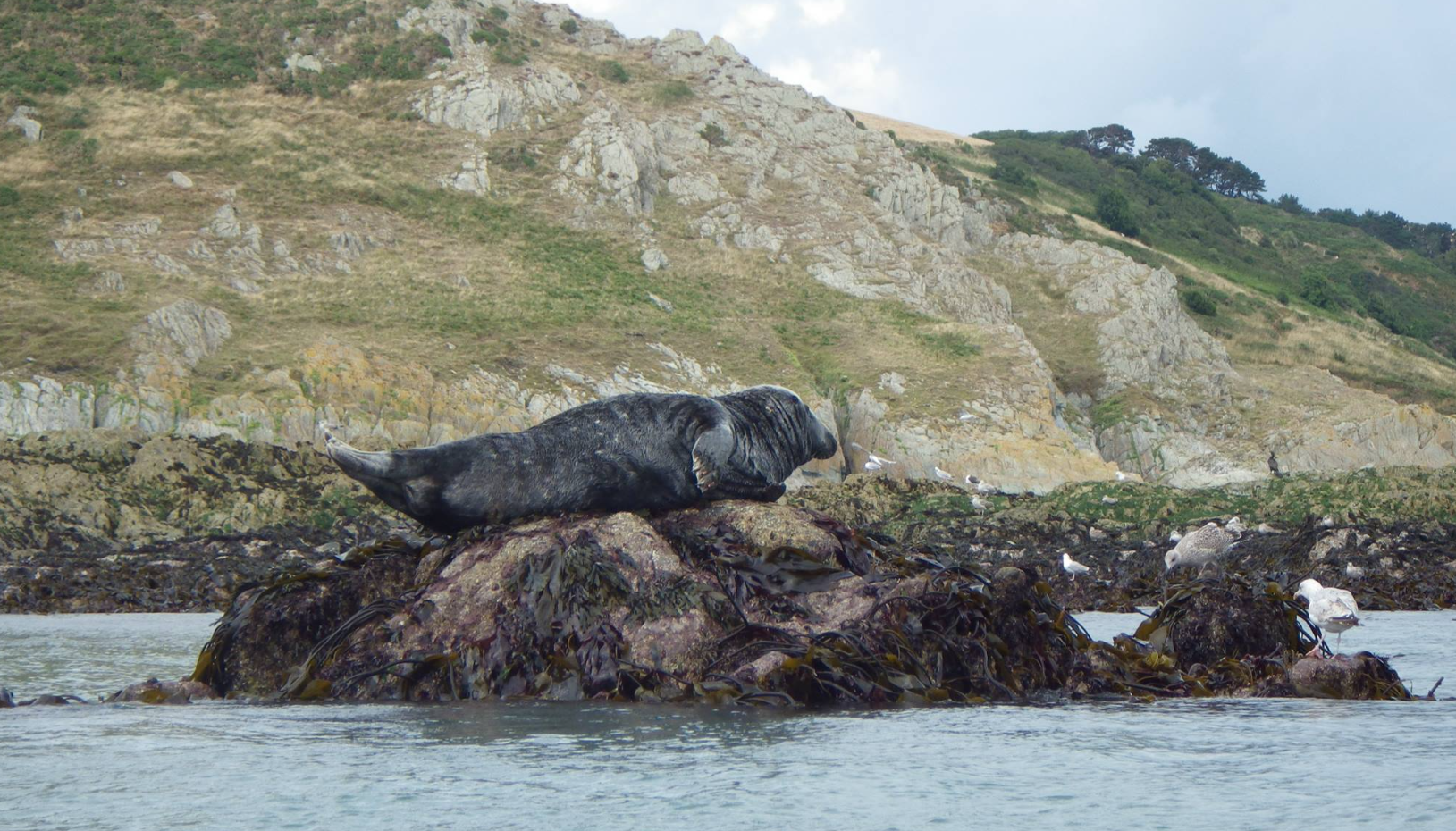Classic Wild Camping & Kayaking Trip in Devon gallery 5