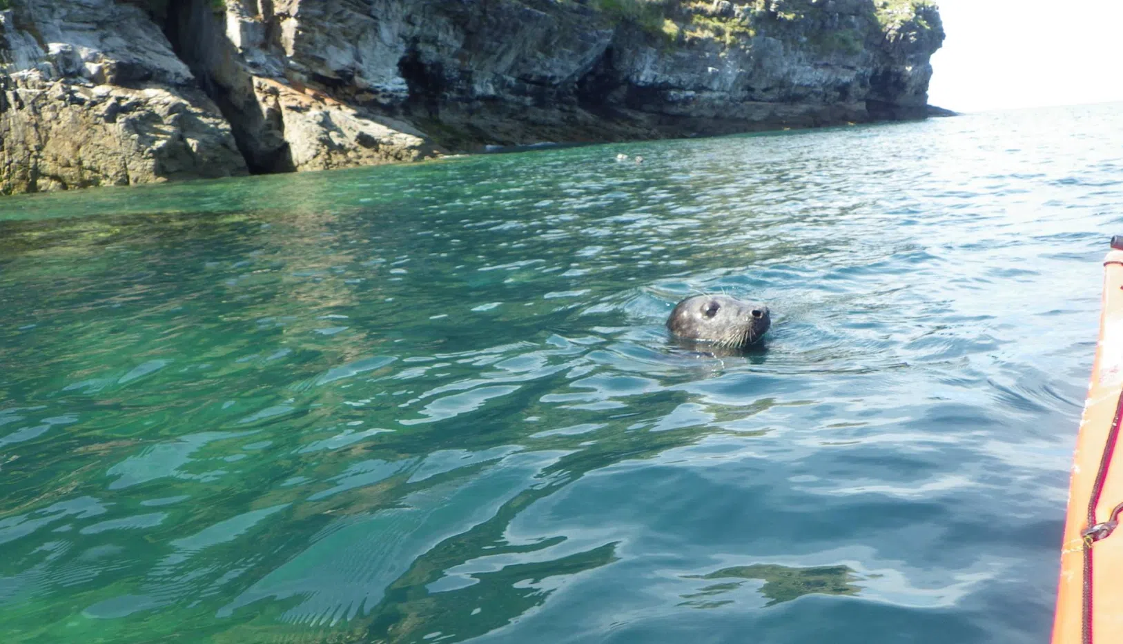 4-Day Kayaking Expedition - Lundy Island gallery 8