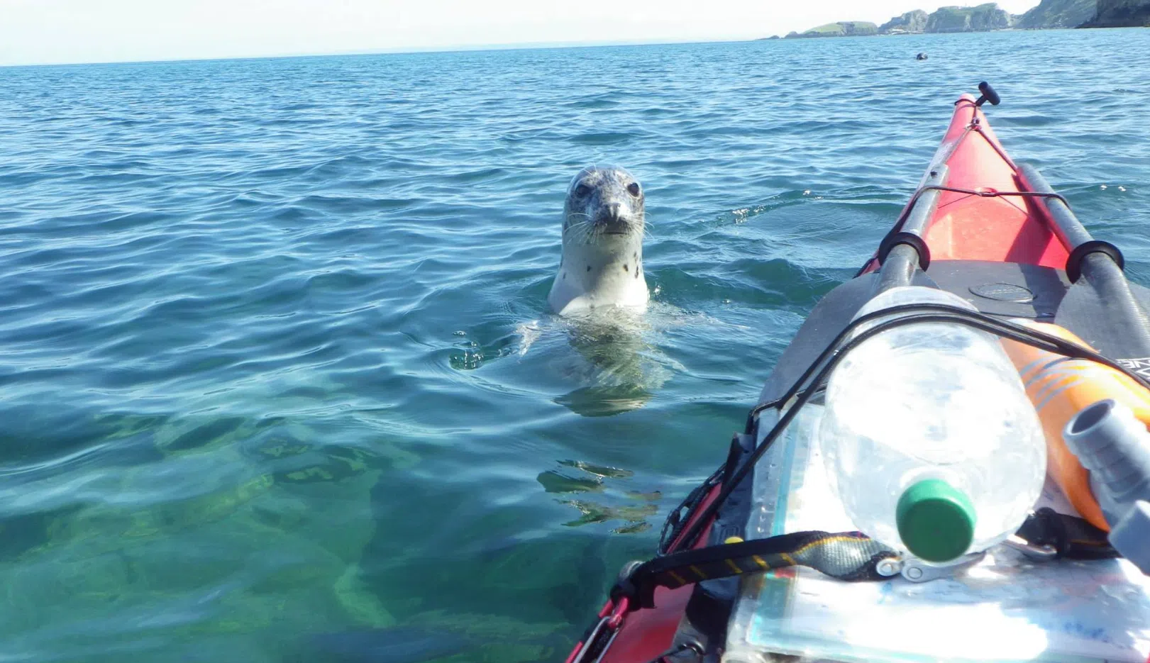 4-Day Kayaking Expedition – Lundy Island, listing photo